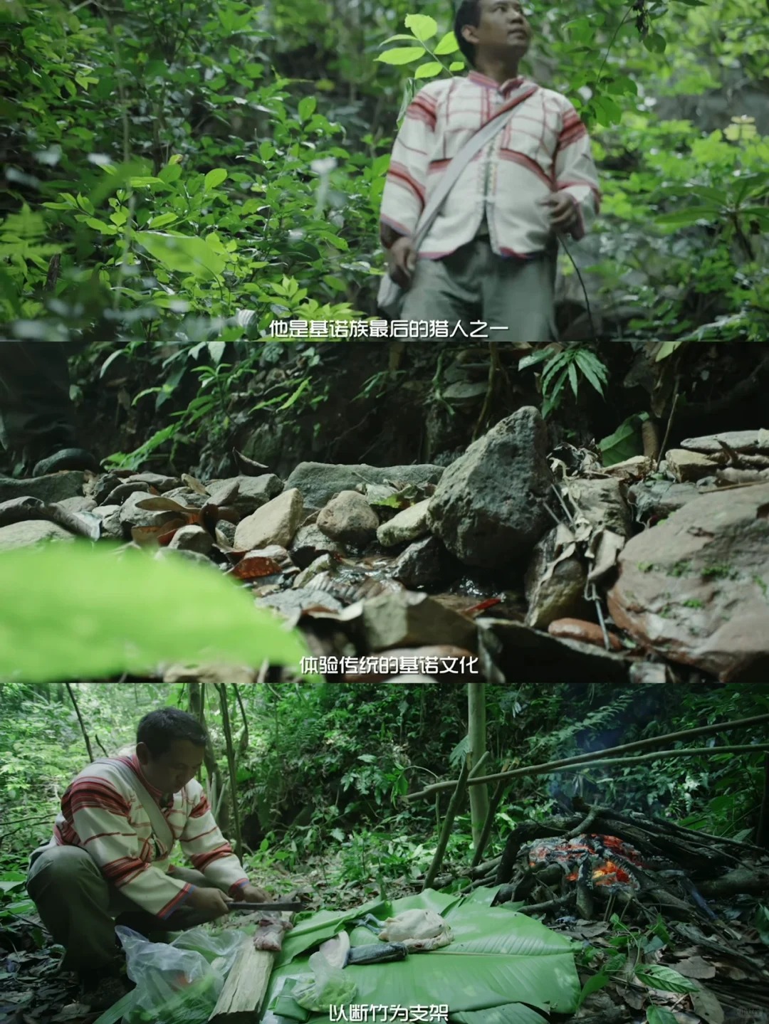 纪录片《雨林之子》云的彼端，国之南境。_4_闪闪发光赵美好_西双版纳-森林-来自52tours 我爱旅游网
